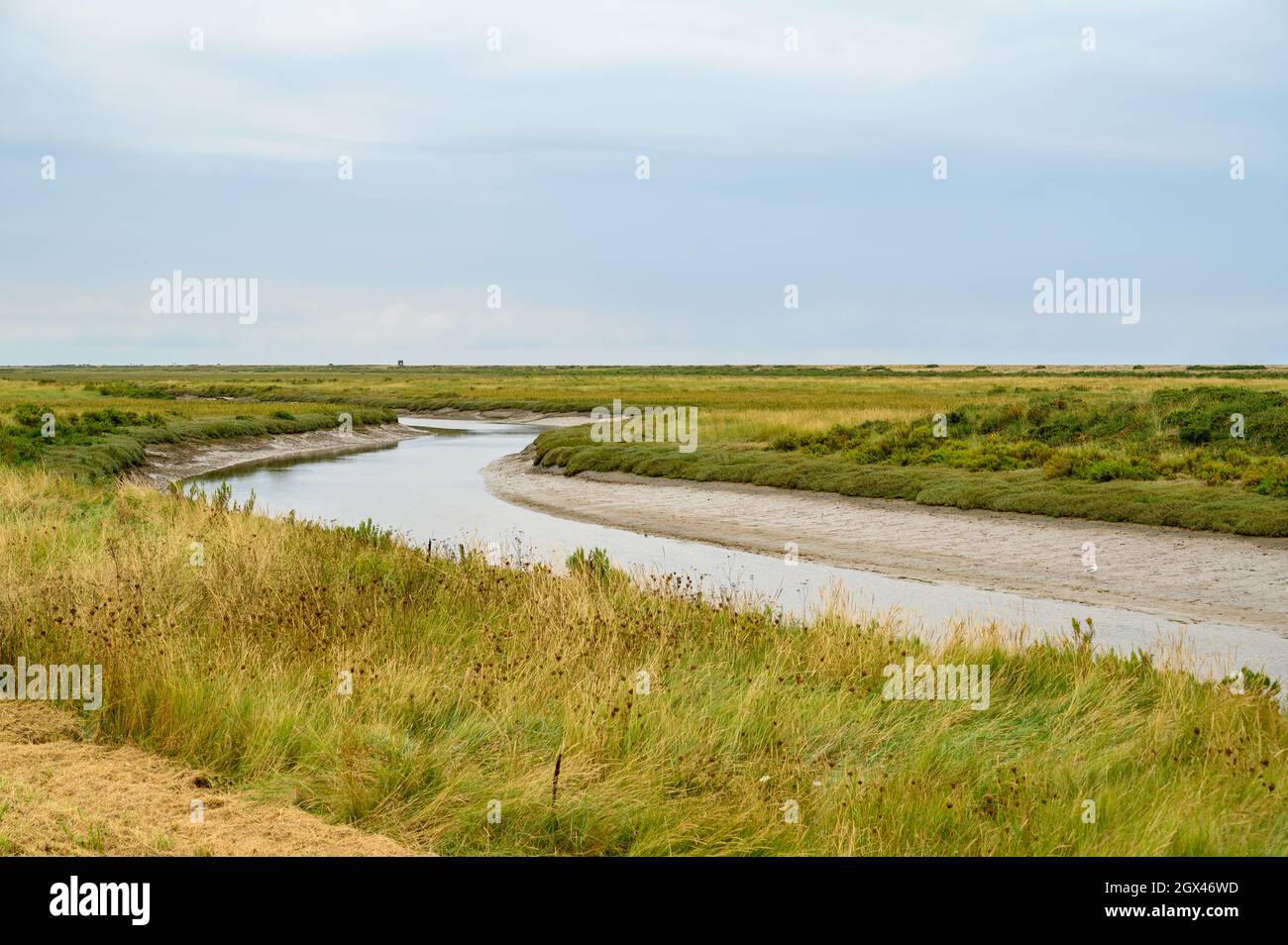 A nearly dry river Glaven winding through the Blakeney Natural Nature Reserve's marshland on the North Sea coast, Norfolk, England. Stock Photo