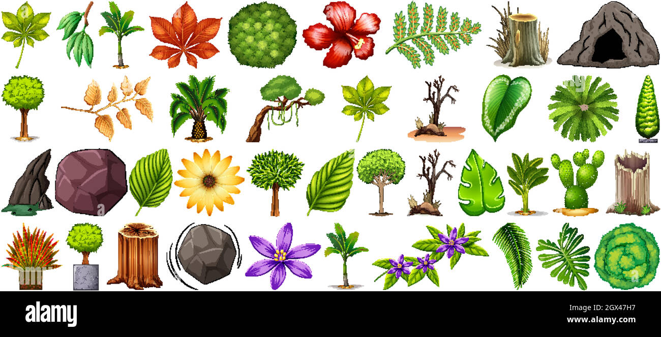 Set of different nature isolated on white background Stock Vector Image ...