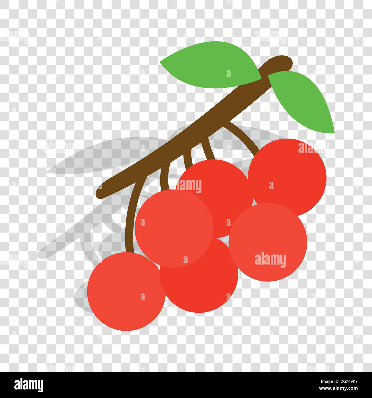 Rowan branch isometric icon Stock Vector