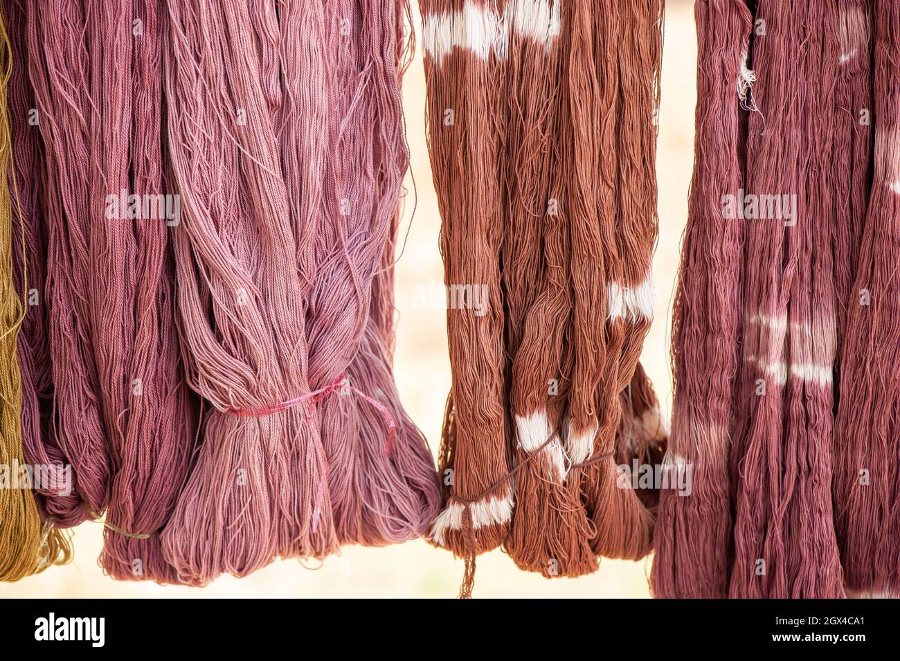Cotton yarn dyeing with natural dyes hanging in sunlight for natural drying. Local handmade products of Sakon Nakhon, Thailand. Close-up. Stock Photo