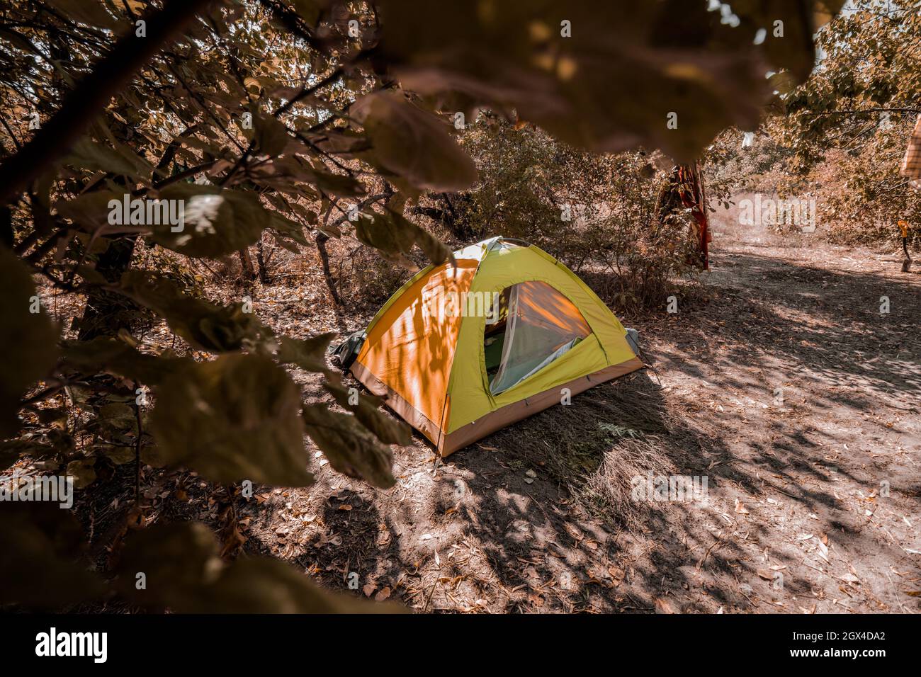 A tent stands in the middle of a deserted forest glade in autumn. Autumn hike. Stock Photo