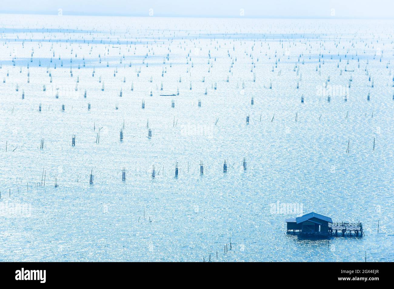 Traditional fish trap hi-res stock photography and images - Alamy