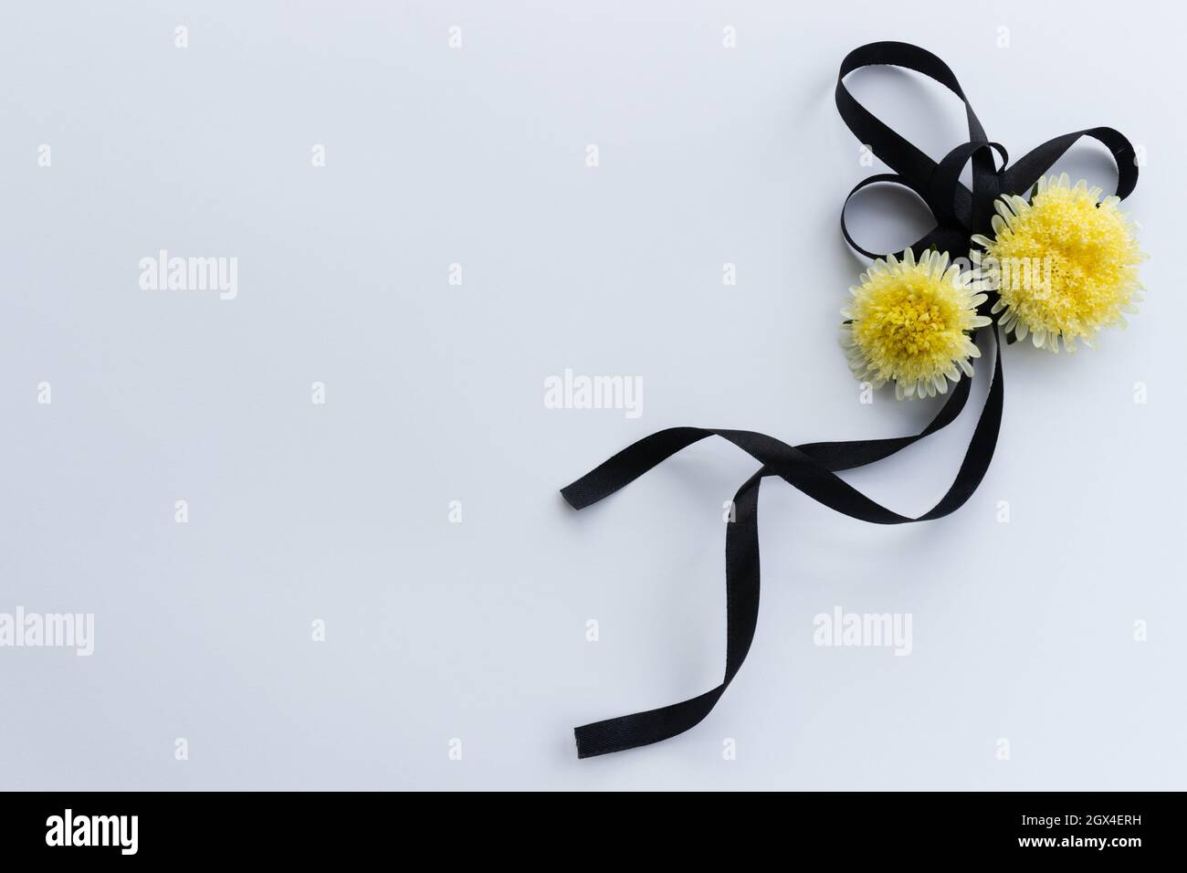 Black funeral ribbon with two yellow flowers. Stock Photo