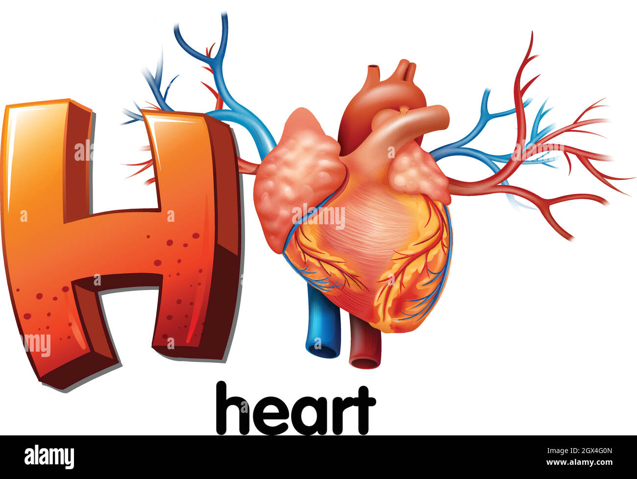 A letter H for heart Stock Vector