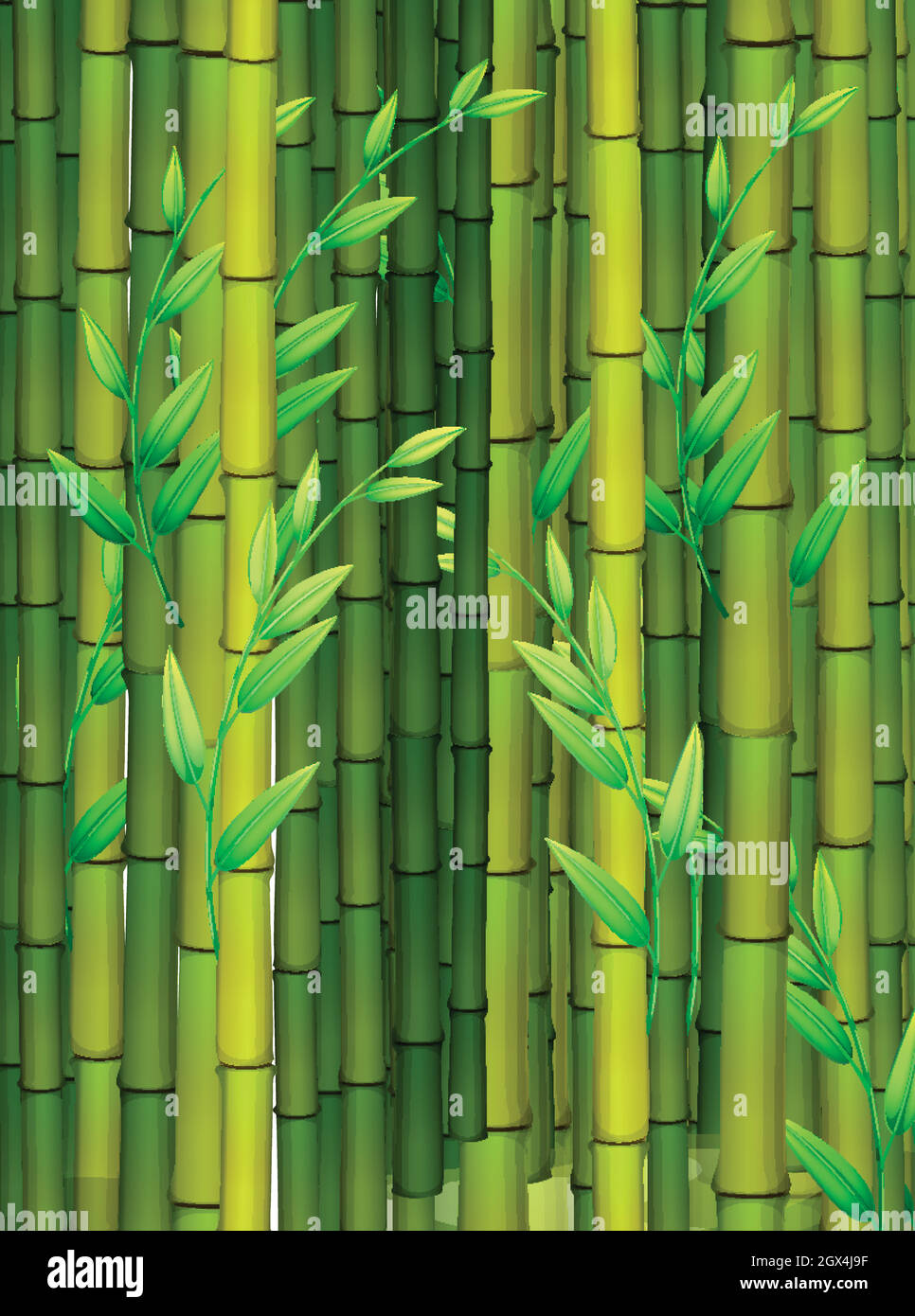 Fresh Green Bamboo Stick, On Gray Background Stock Photo, Picture