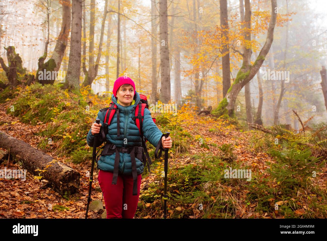 Active woman hiking in beautiful fall forest Stock Photo - Alamy
