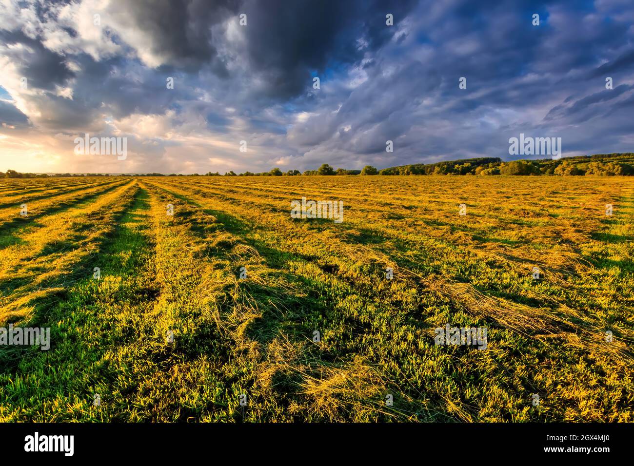 Cultivated landscap hi-res stock photography and images - Alamy