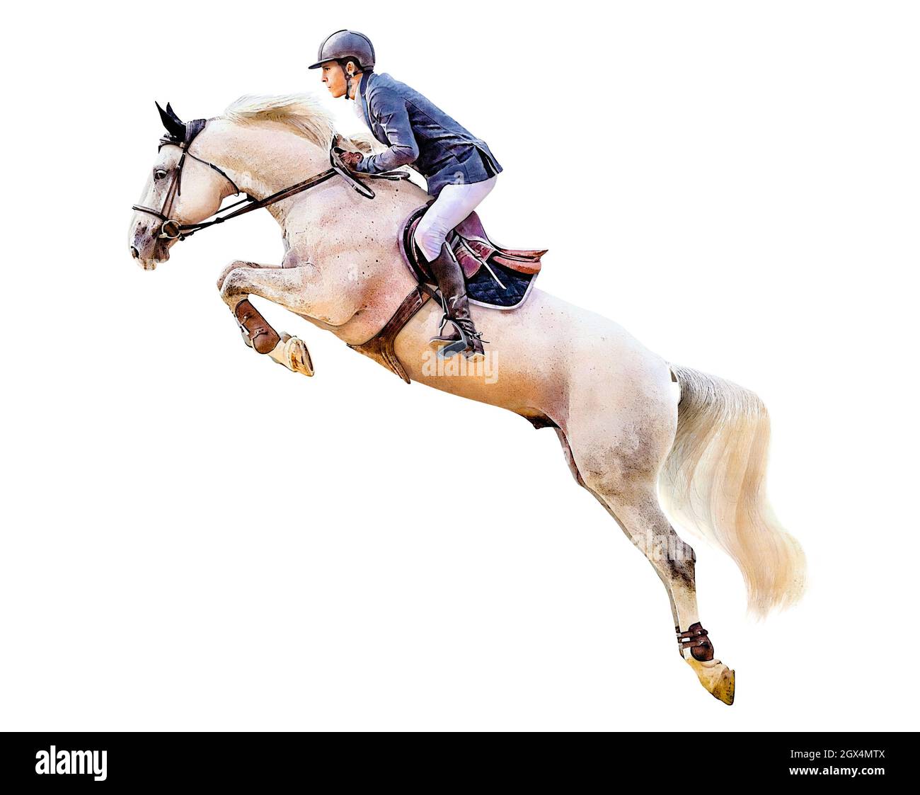 Jockey on horse. White Horse. Champion. Horse riding. Equestrian sport