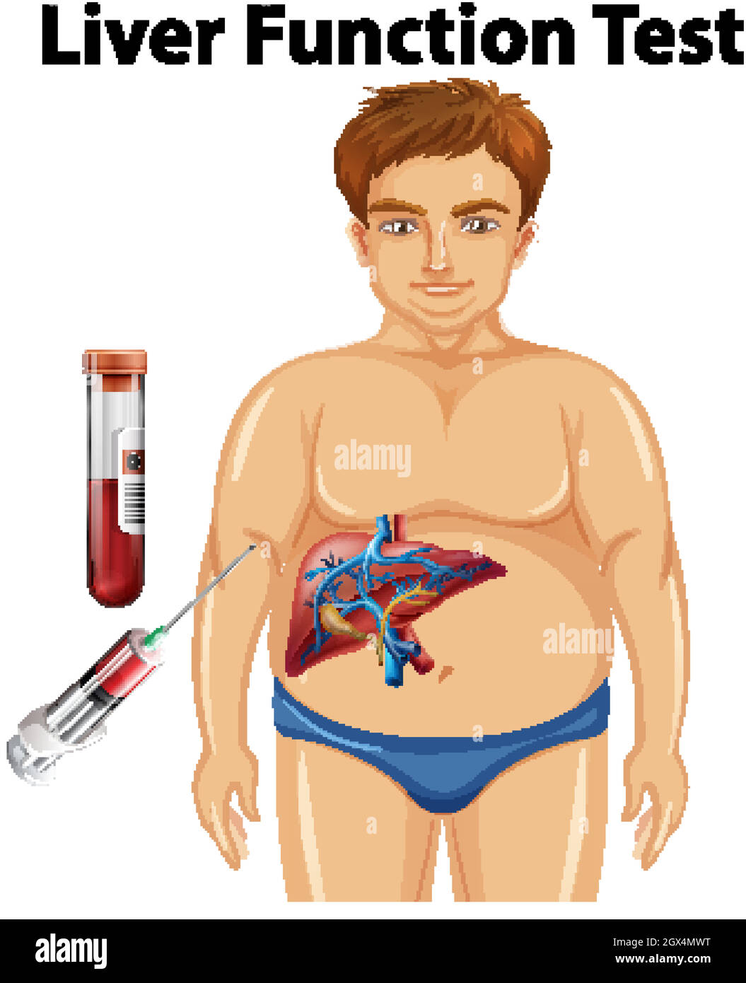 Set of liver function test with human body for education Stock Vector