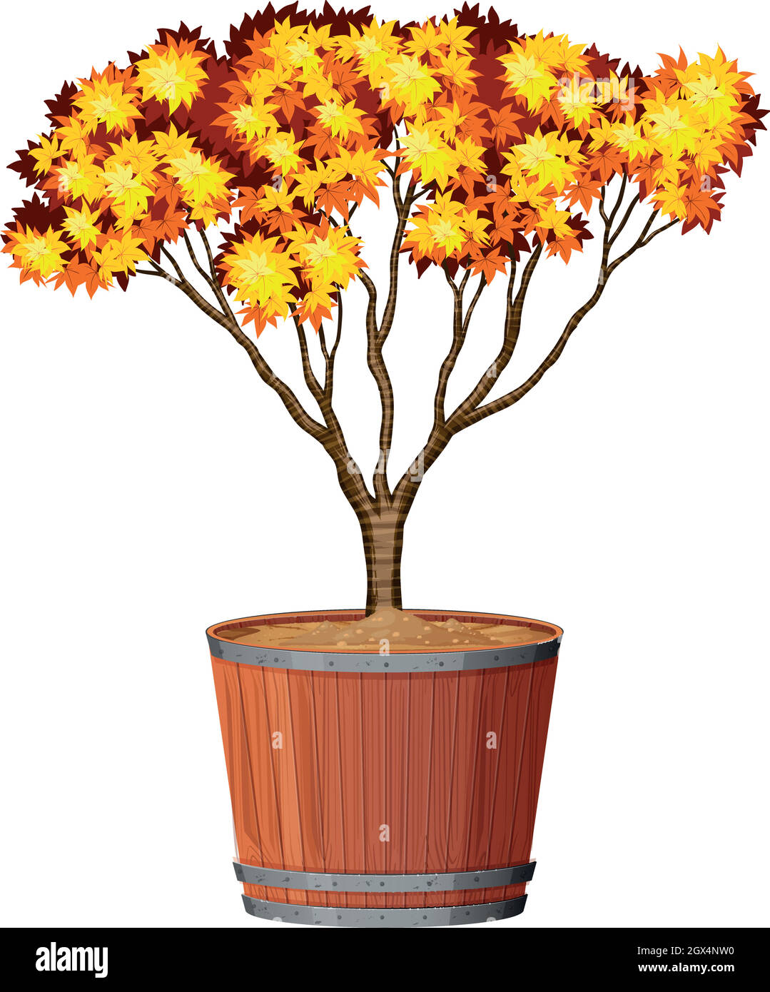 Tree in pot plant Stock Vector Image & Art Alamy