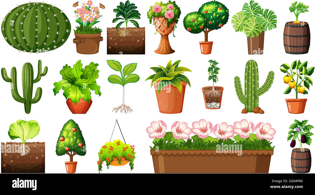 Set of different plants in pots isolated on white background Stock ...