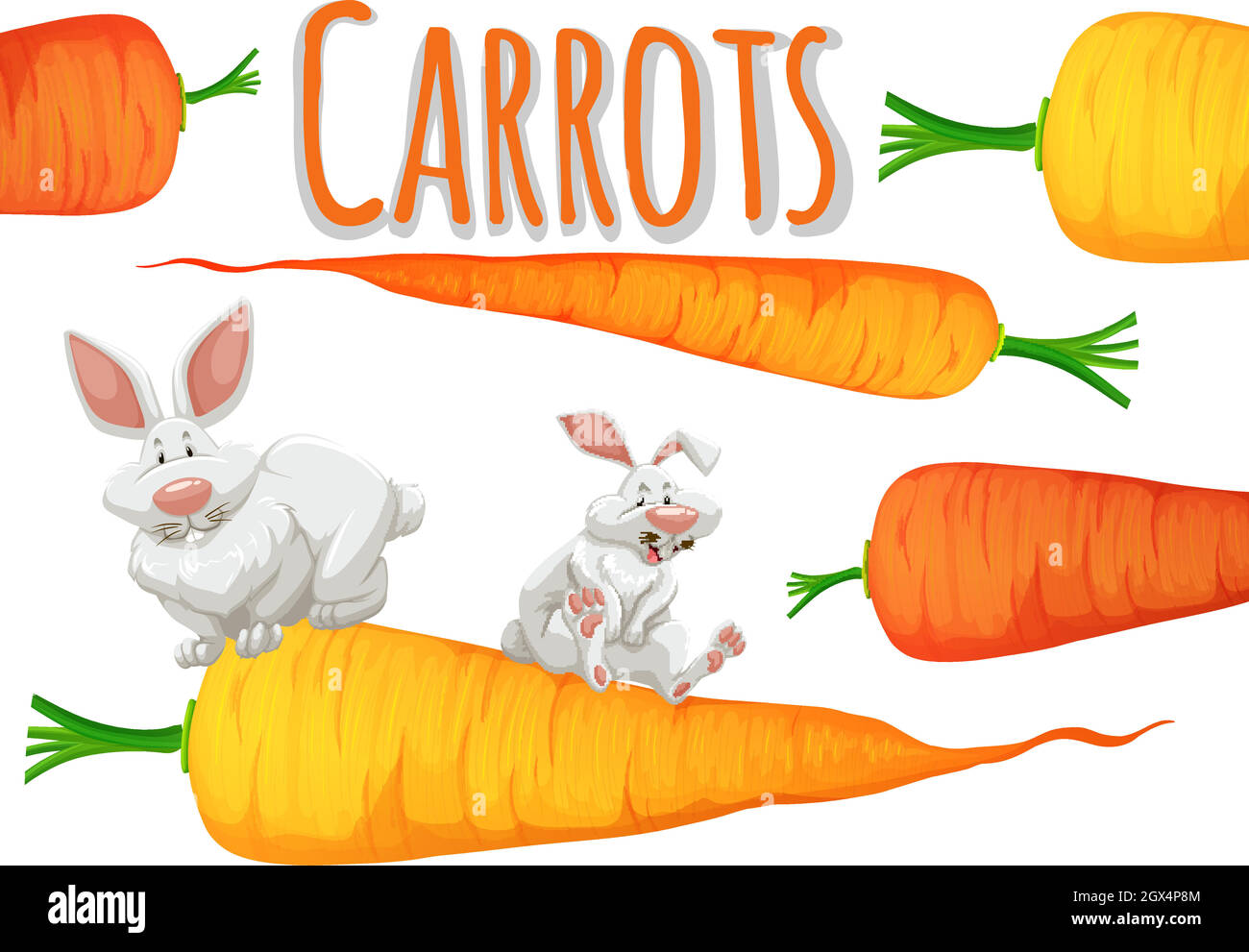 Drawing two carrots Cut Out Stock Images & Pictures Alamy