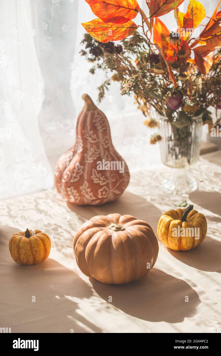 Pumpkins on kitchen table at window with bunch of flowers and autumn leaves and sunlight. Domestics still life Stock Photo