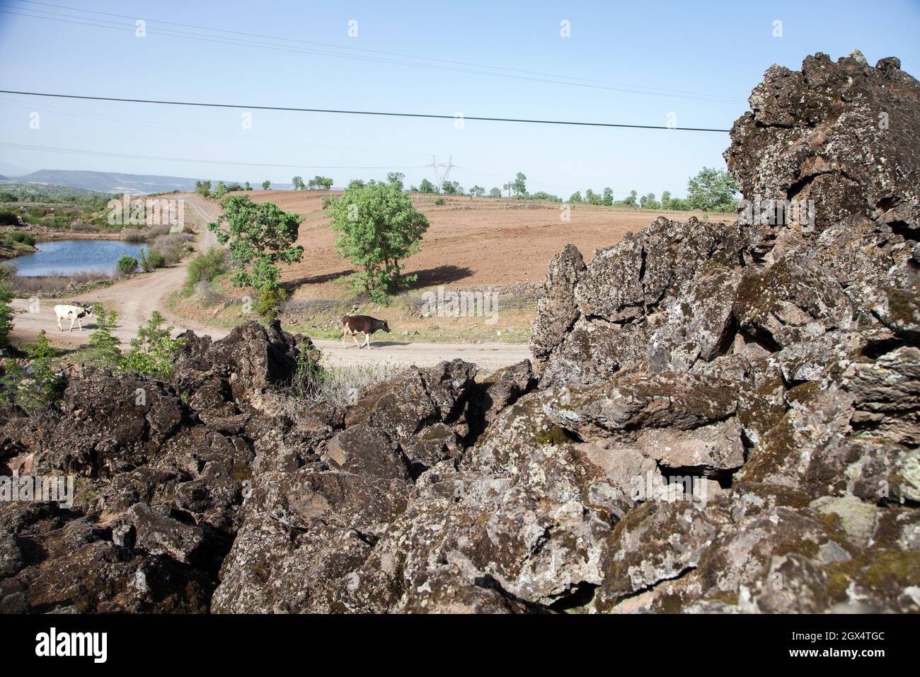 Volcanic lava rocks hi-res stock photography and images - Alamy
