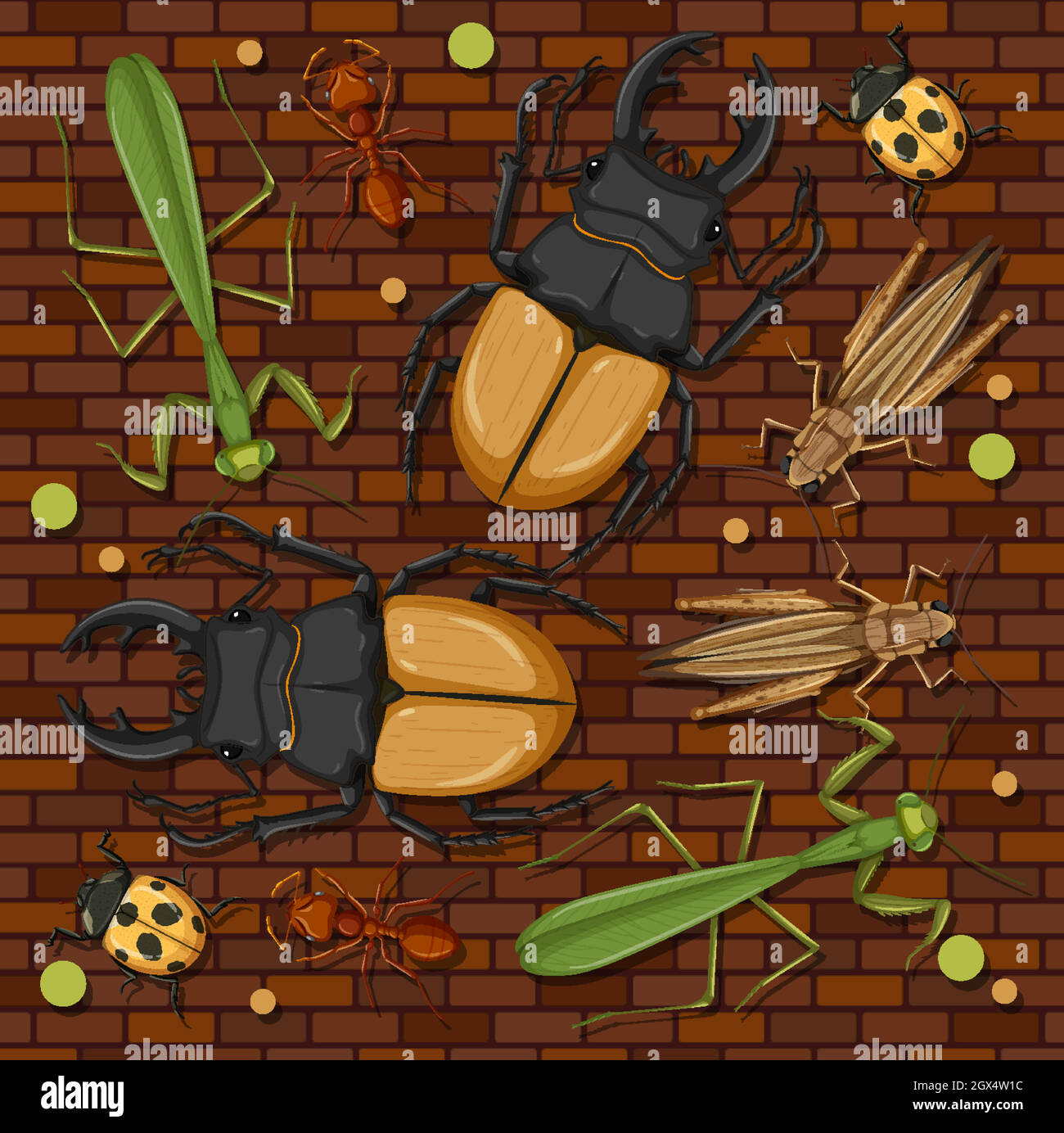 Set of different insects on wooden wallpaper background Stock Vector ...
