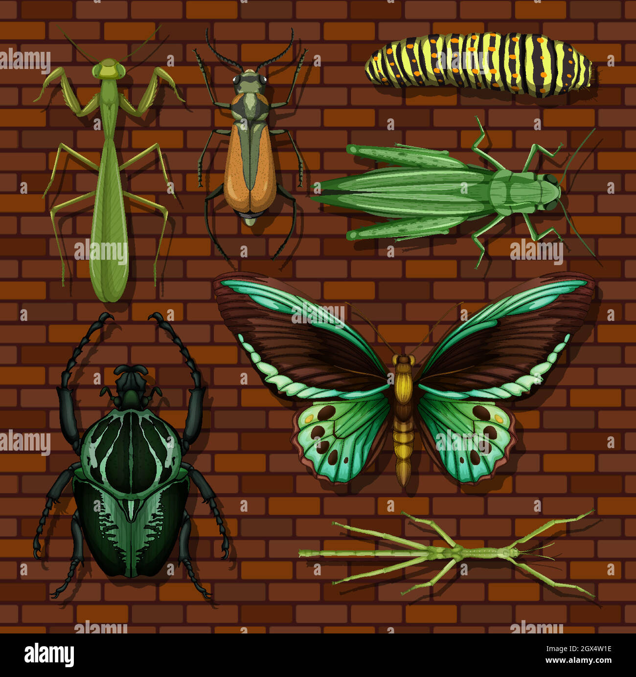 Set of different insects on wooden wallpaper background Stock Vector ...