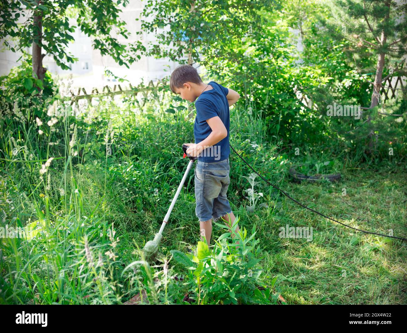 Boy, 11 years old, mows the lawn with an electric scythe near the trees in the yard of a house on a sunny summer day. Stock Photo