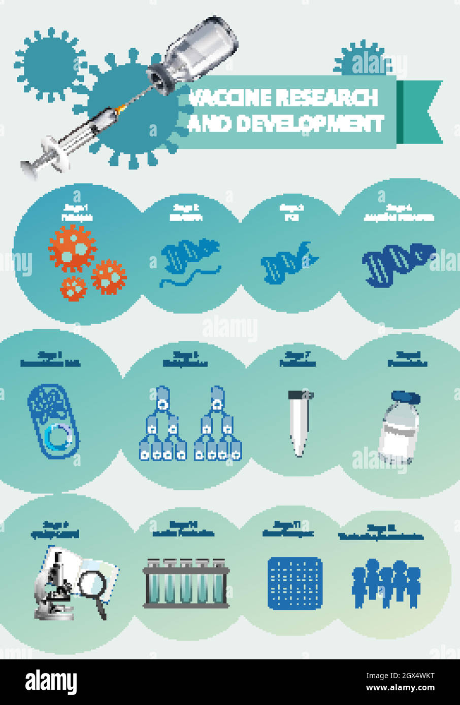 Vaccine research and development infographic Stock Vector