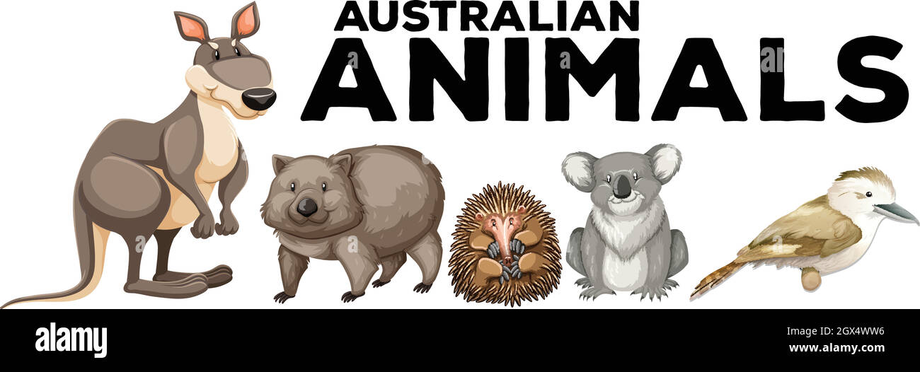 Wild animals from australia Stock Vector