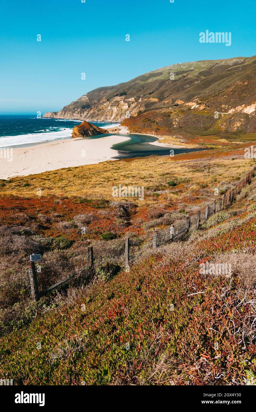 an estuary flows into the Pacific Ocean amongst plant-covered sand dunes at privately-owned Little Sur River Beach, California Stock Photo