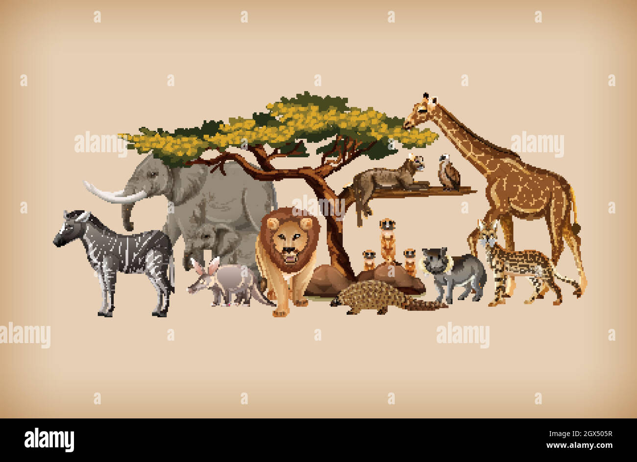 Group of wild animal on background Stock Vector Image & Art - Alamy