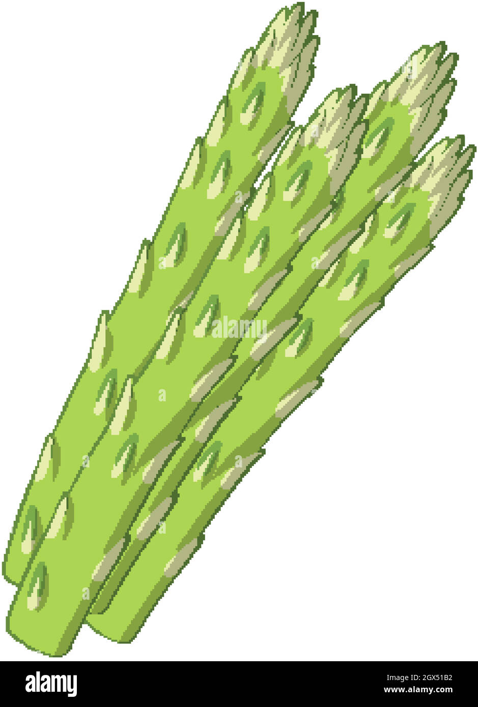 Asparagus drawing hires stock photography and images Alamy