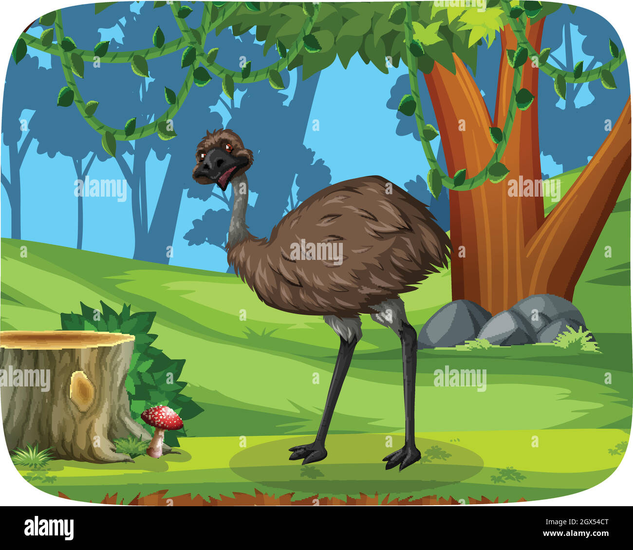 Emu vector hires stock photography and images Alamy