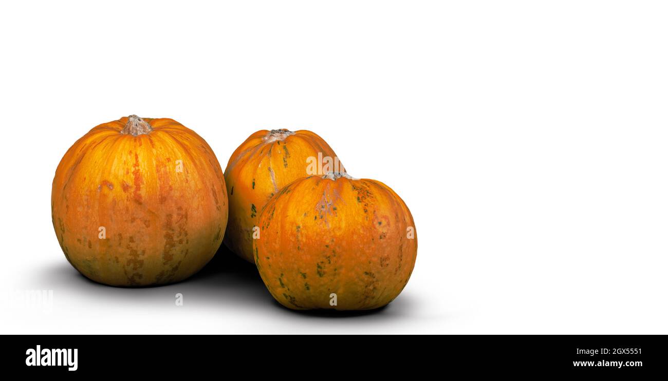 Pumpkins isolated on white background. Stock Photo