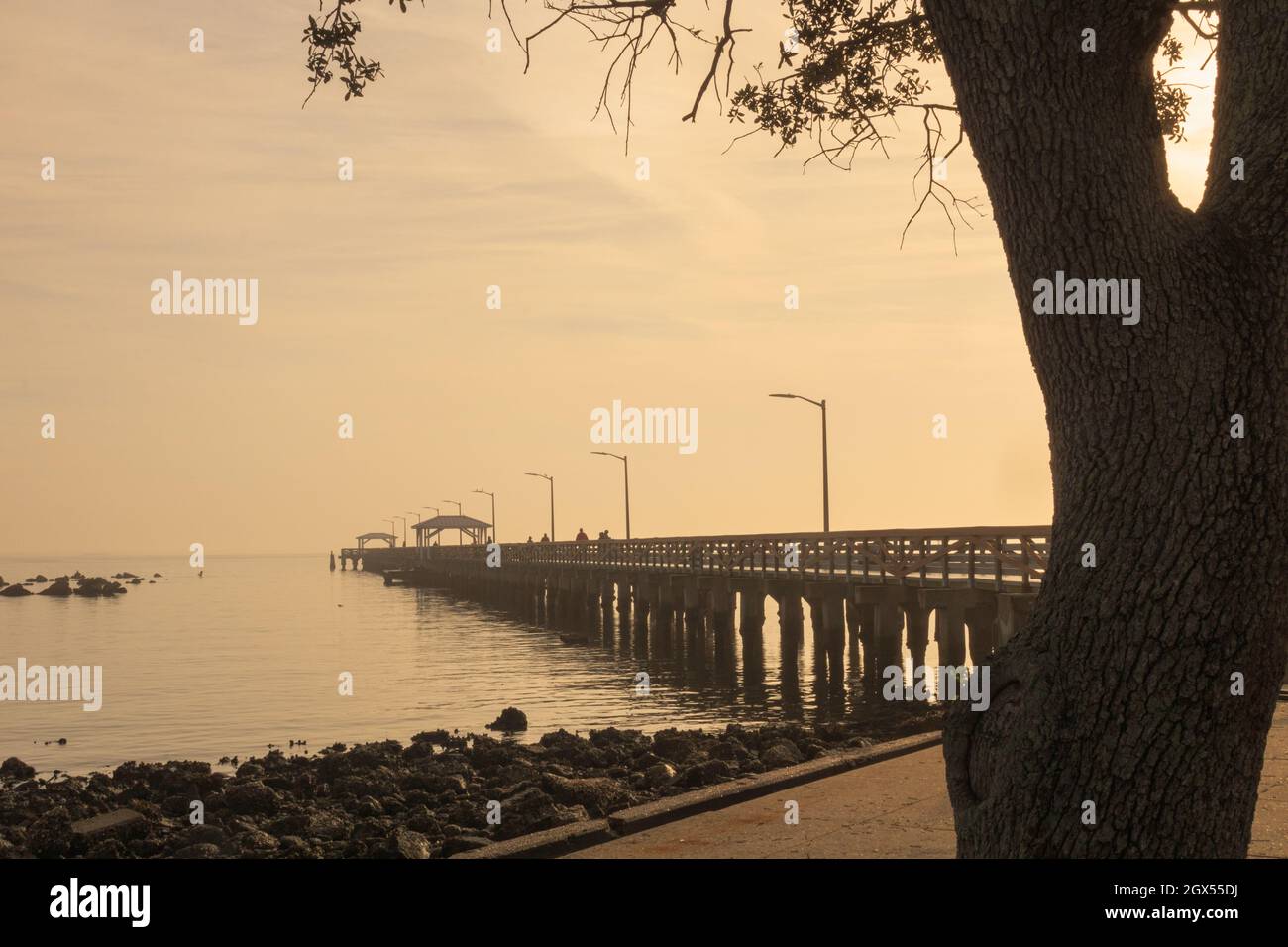 Ballast Point Park Pier, S. Tampa, Florida Stock Photo Alamy