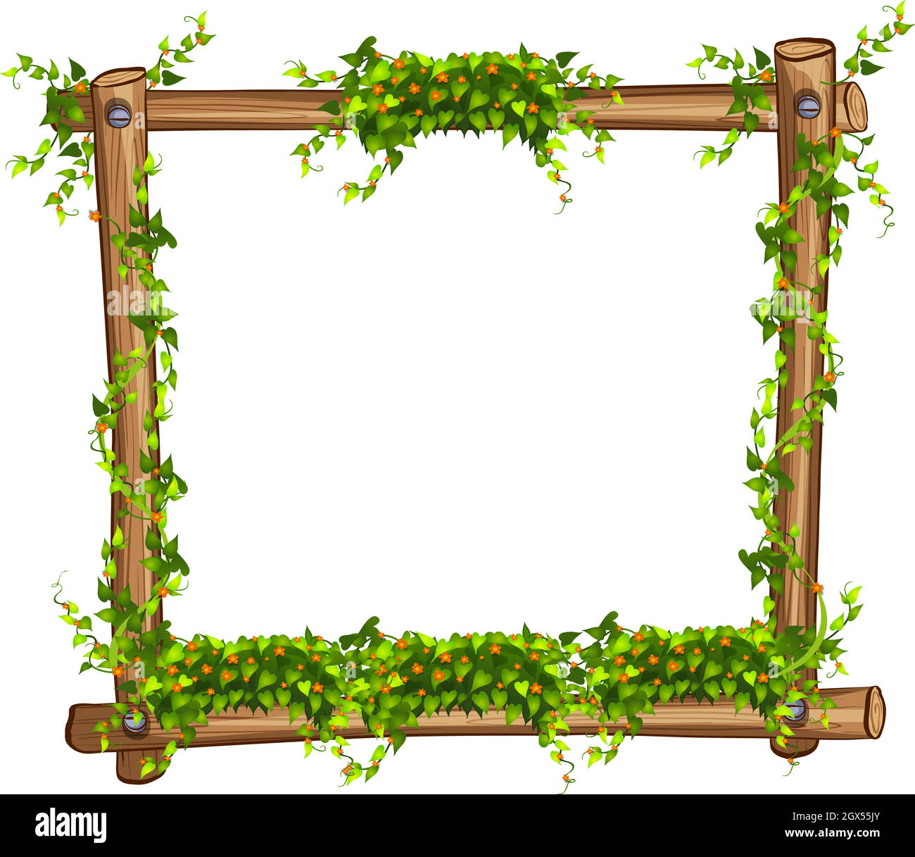 Frame with vine and flowers Stock Vector
