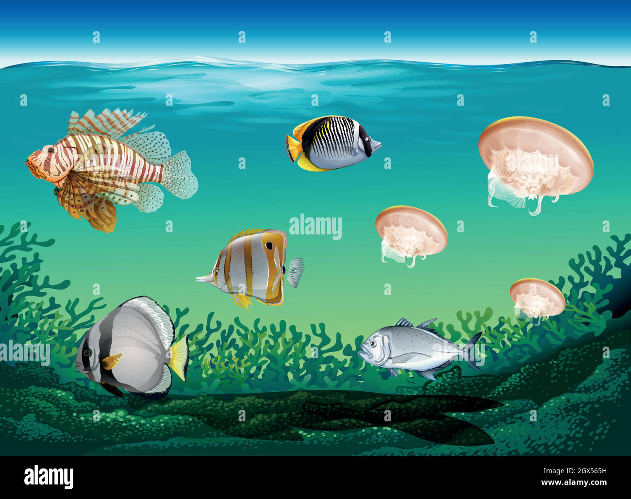 So many fish Stock Vector Images - Alamy