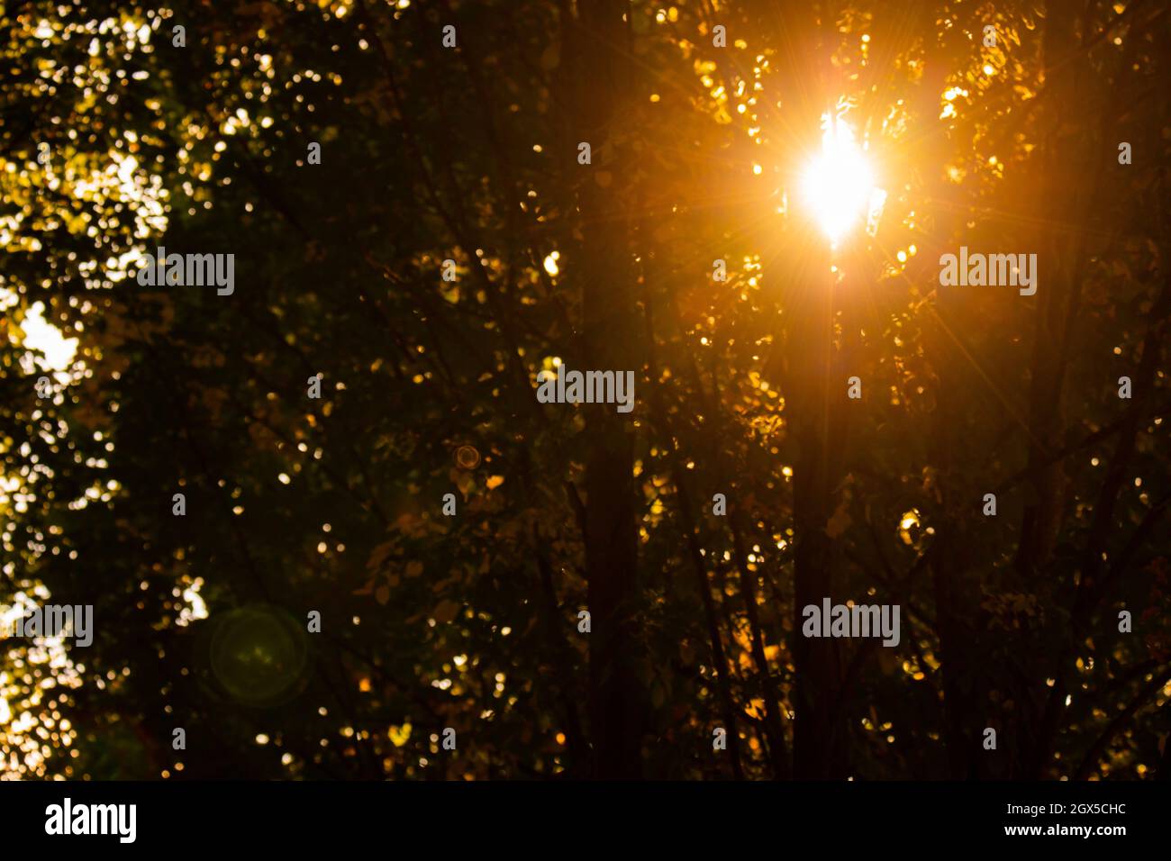 Sun rays making way hi-res stock photography and images - Alamy