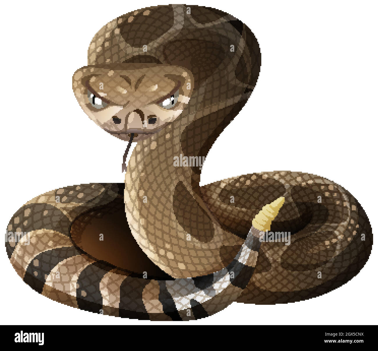 Western Diamondback Rattlesnake in cartoon style on white background Stock Vector