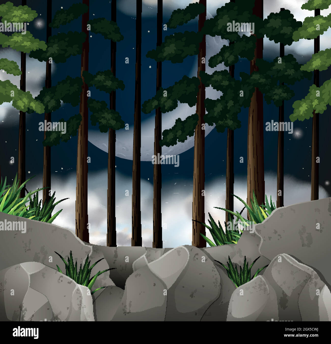 Wood Scene At Night Stock Vector Image Art Alamy