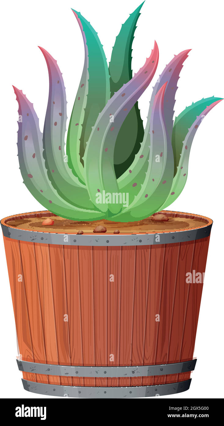 Plant in pot with soil isolated Stock Vector Image & Art - Alamy