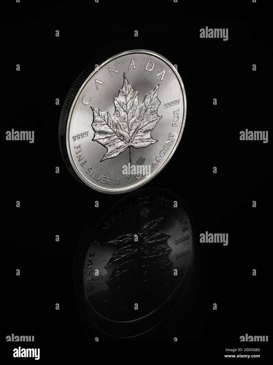 Canadian Maple Leaf 1oz .9999 Pure Silver Coin - Royal Canadian Mint Stock Photo