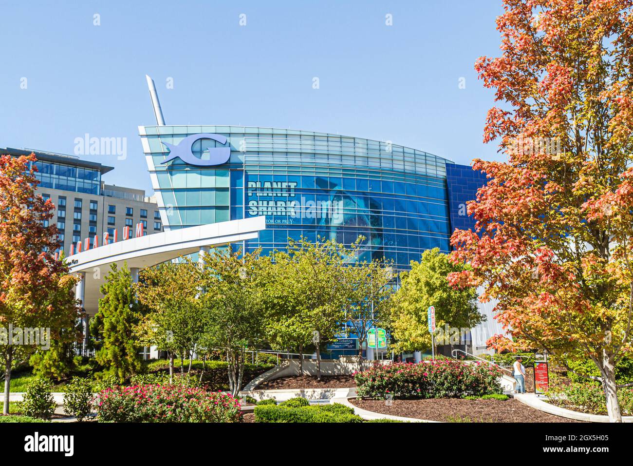 Atlanta Georgia,Pemberton Place,Georgia Aquarium,outside exterior front entrance building attraction autumn fall colors Stock Photo