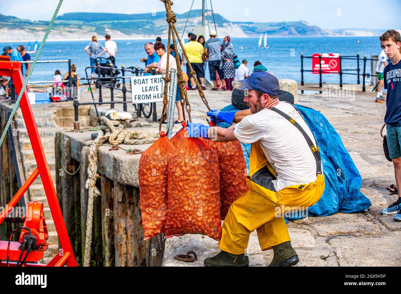 British fishermen landing the daily catch of fresh shellfish. Stock Photo