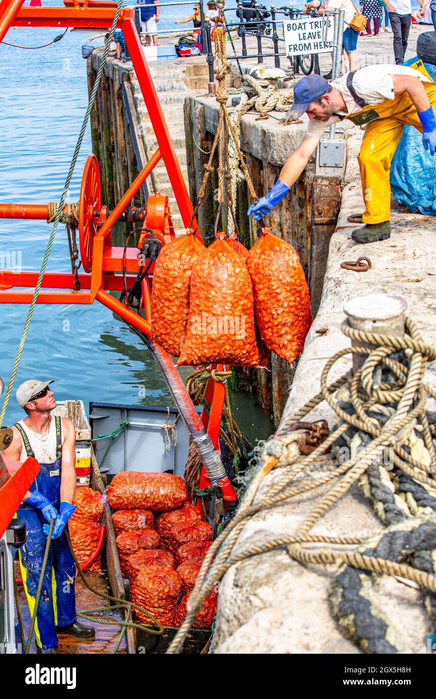 British fishermen landing the daily catch of fresh shellfish. Stock Photo