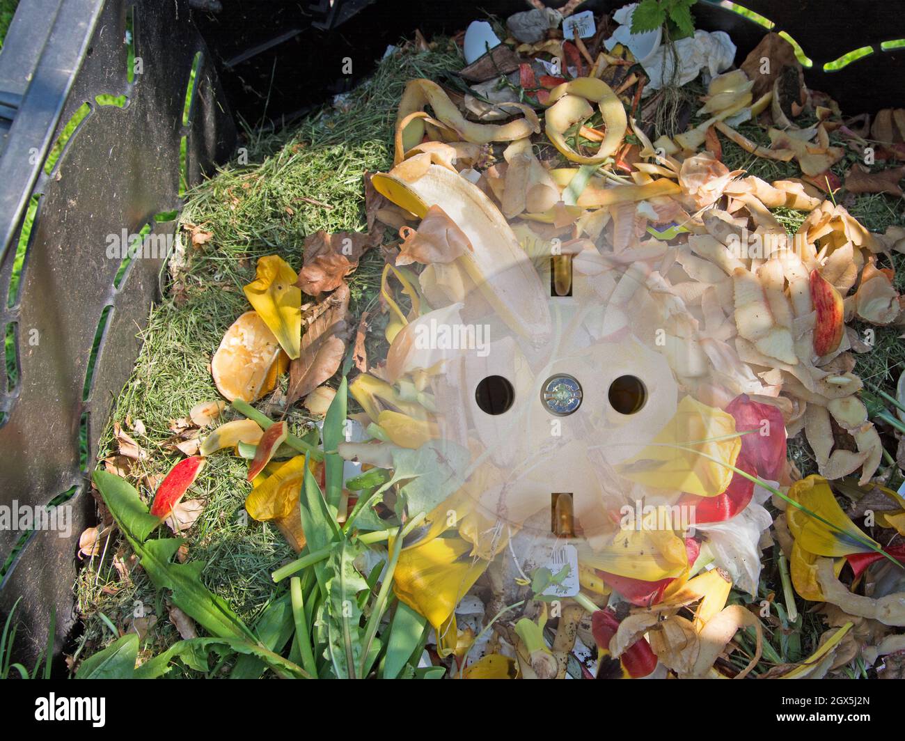 Electricity from biogas from organic waste Stock Photo Alamy