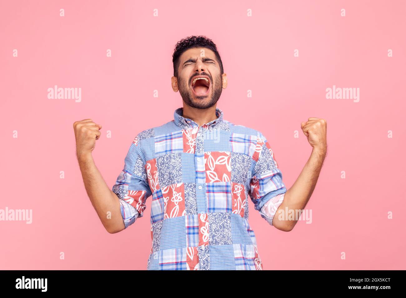 Portrait of overjoyed handsome man with beard in casual shirt expressing winning gesture with raised fists and screaming, celebrating victory. Indoor studio shot isolated on pink background. Stock Photo