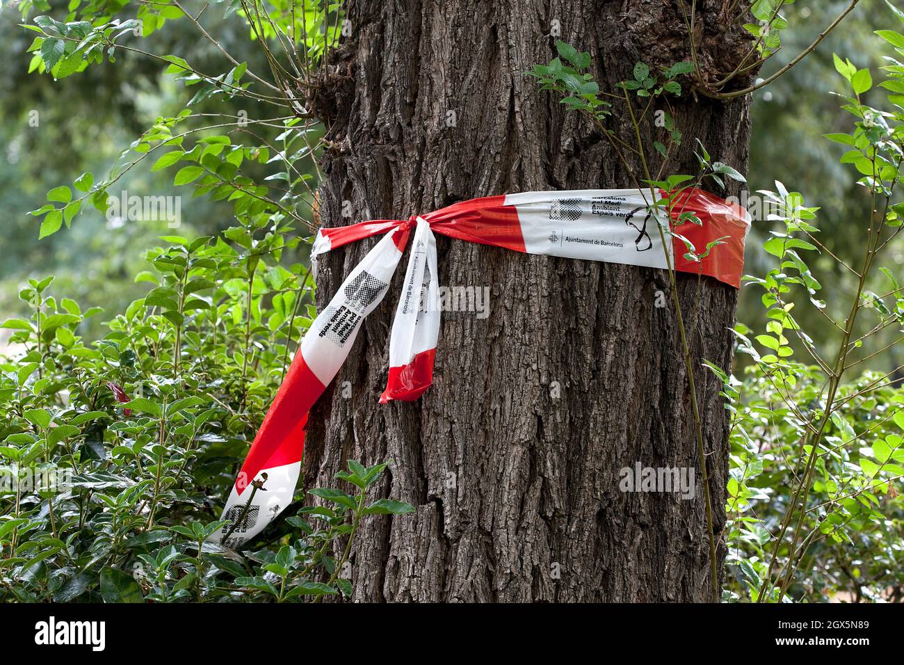 The remains of tape used to warn people that the park was off limits during the pandemic, Barcelona, Spain. Stock Photo