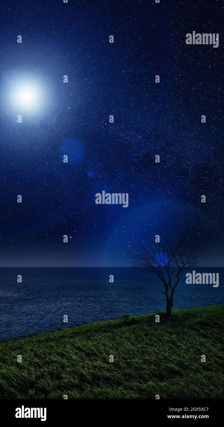 Lonely tree and Glow in the night sky. night landscape Stock Photo - Alamy