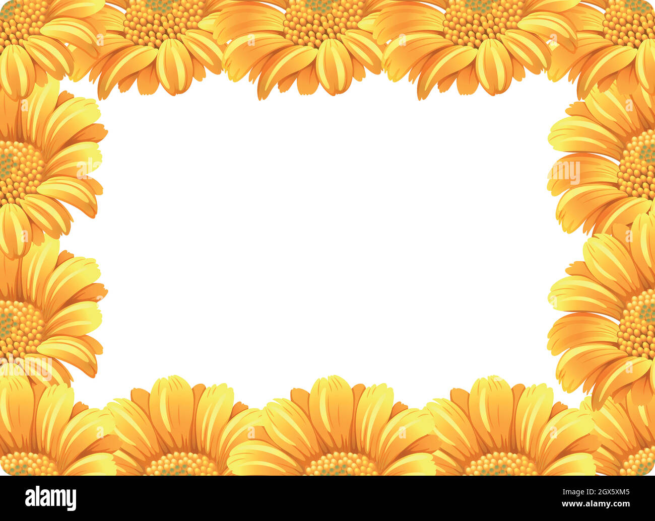 Yellow daisy flower border Stock Vector