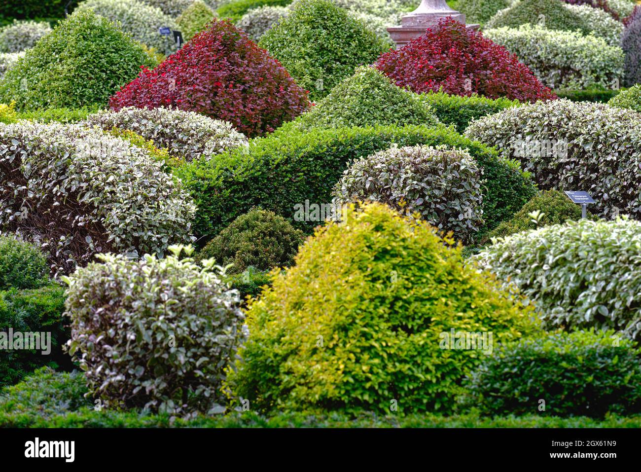 Formally trimmed hires stock photography and images Alamy
