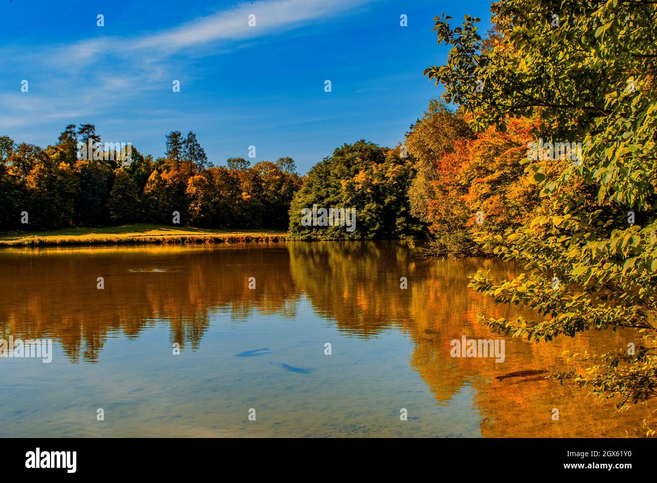 Nymphenburg Palace Garden : Bavarian autumn atmosphere Stock Photo