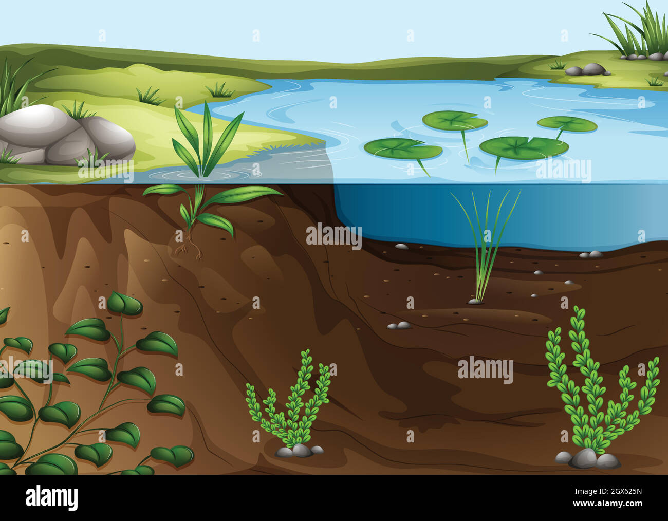Biotic Communities of Lakes and Ponds - Biology Educare