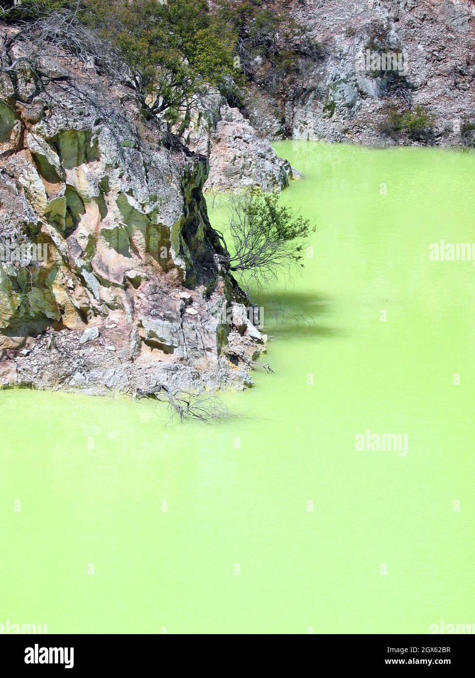 The Devil's Bath, also known as Devils Pool, located in Waiotapu along the Taupo Volcanic Zone, displays geothermal chemistry with its sulphur and ferrous salts creating a neon green pool.  The area, located in the North Island of New Zealand, has been a protected scenic reserve since 1931. Stock Photo