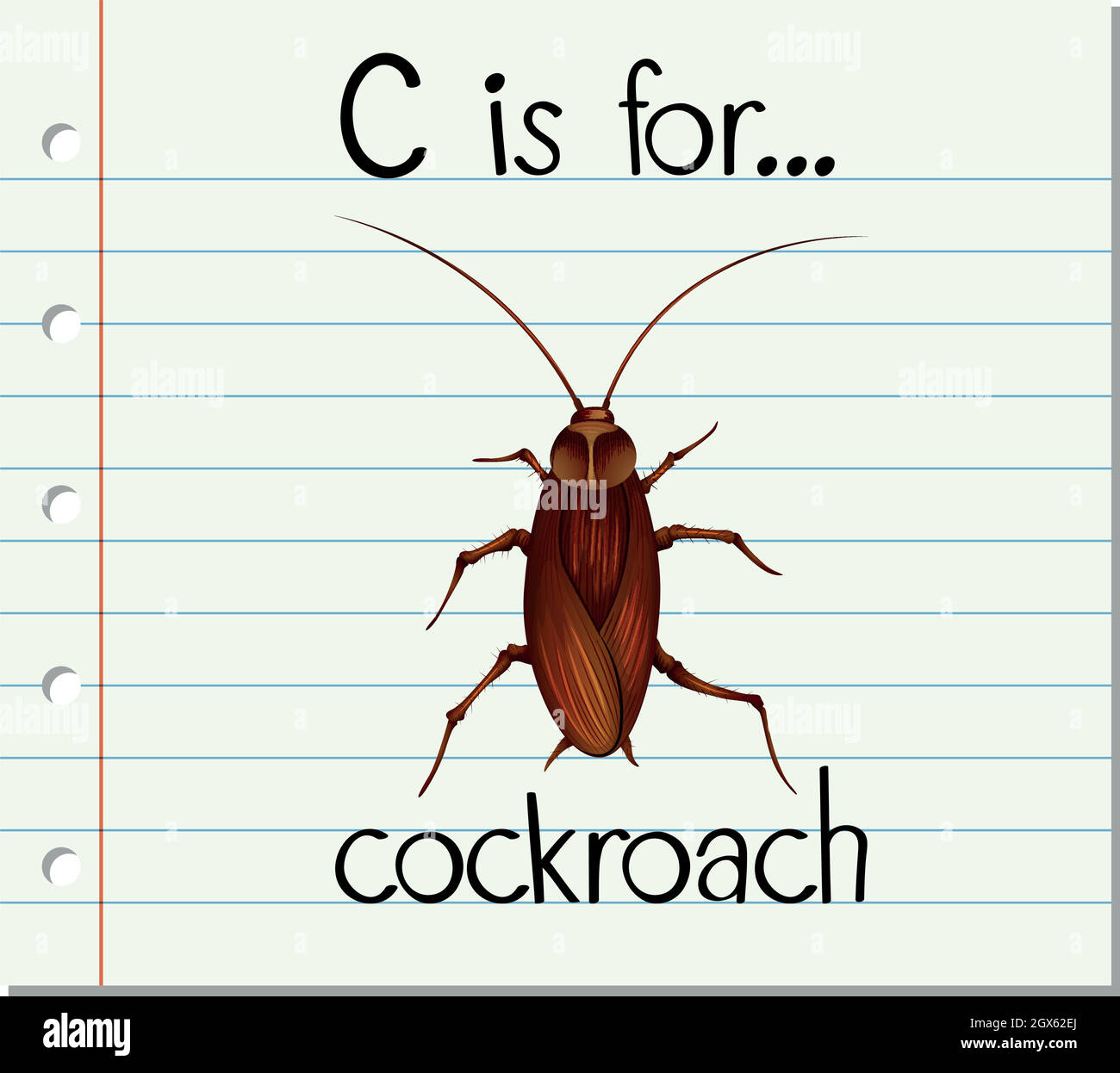 Flashcard letter C is for cockroach Stock Vector