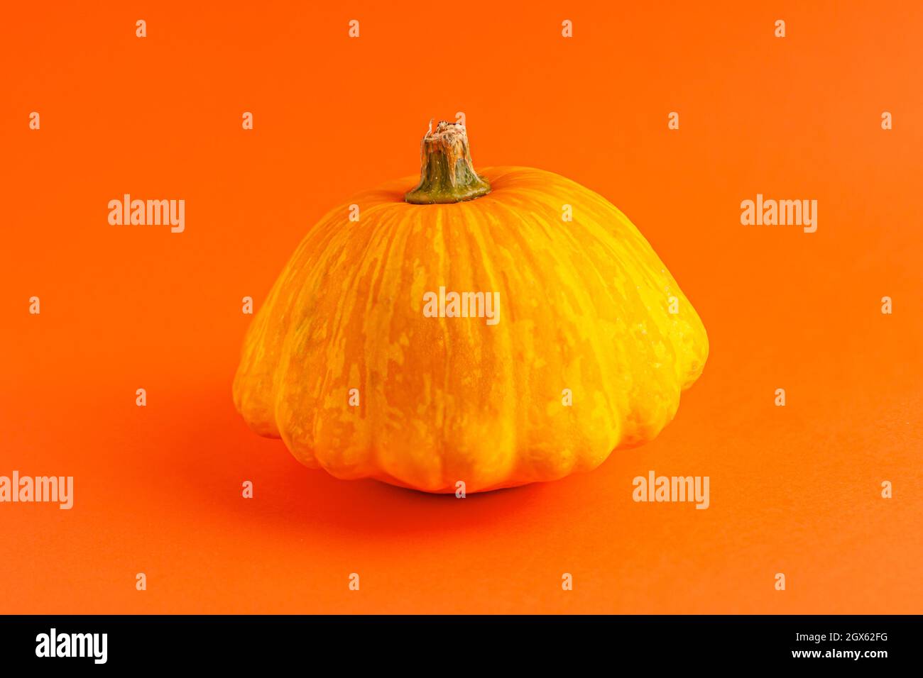 Close up of mini decorative pumpkin yellow  color on orange background with copy space. Halloween and Thanksgiving greeting card holiday concept Stock Photo